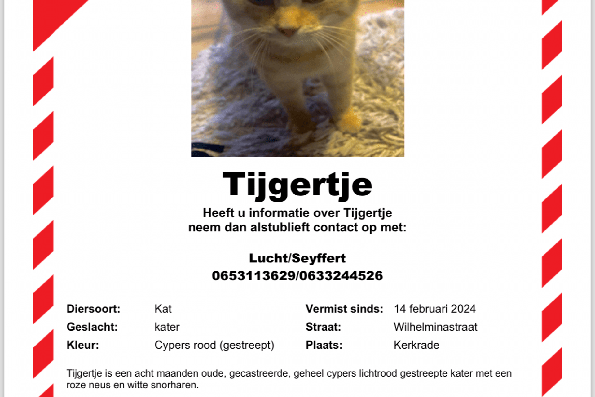 Tijgertje vermist 