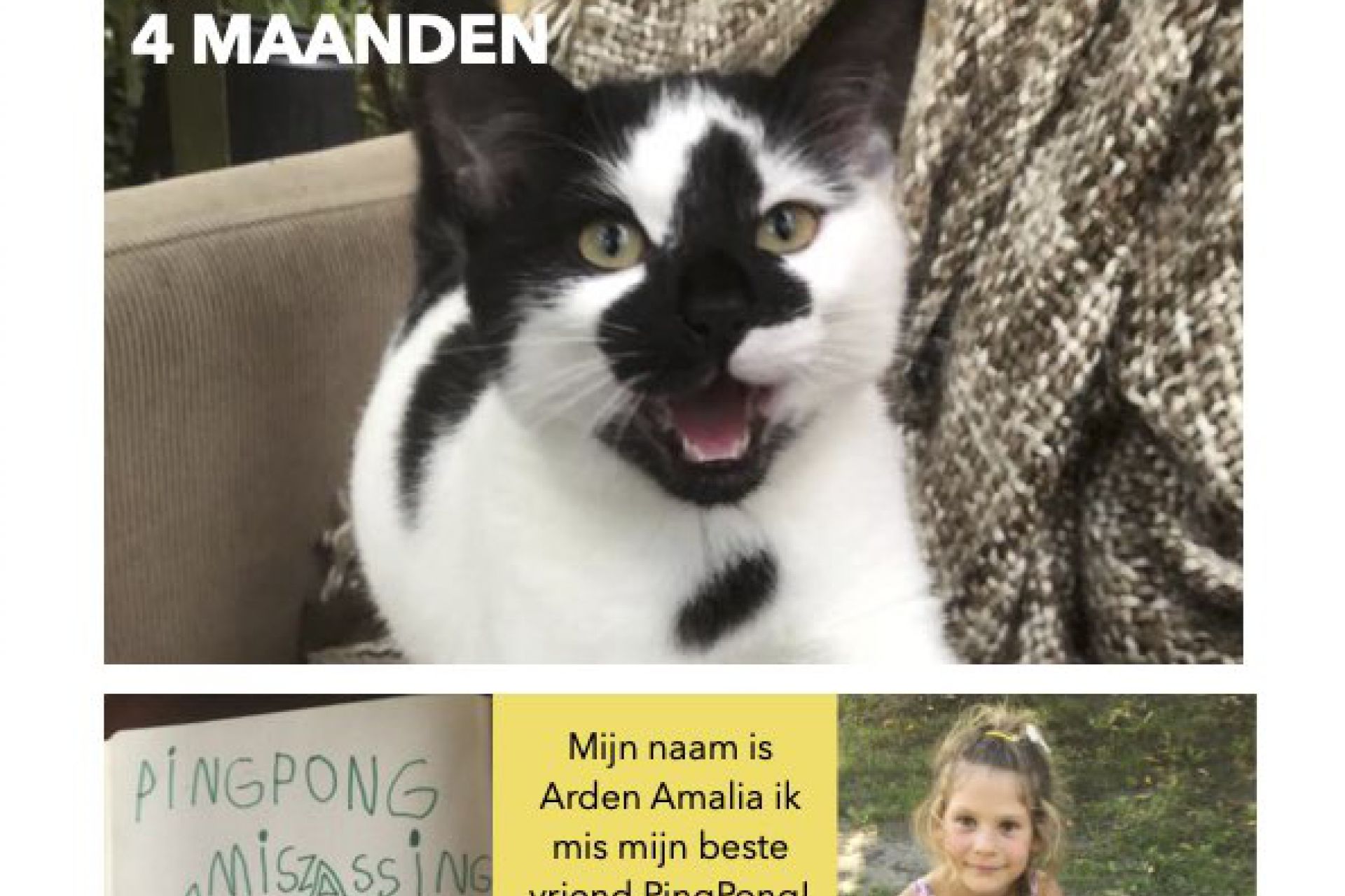 Katertje 4 maanden vermist Driemond