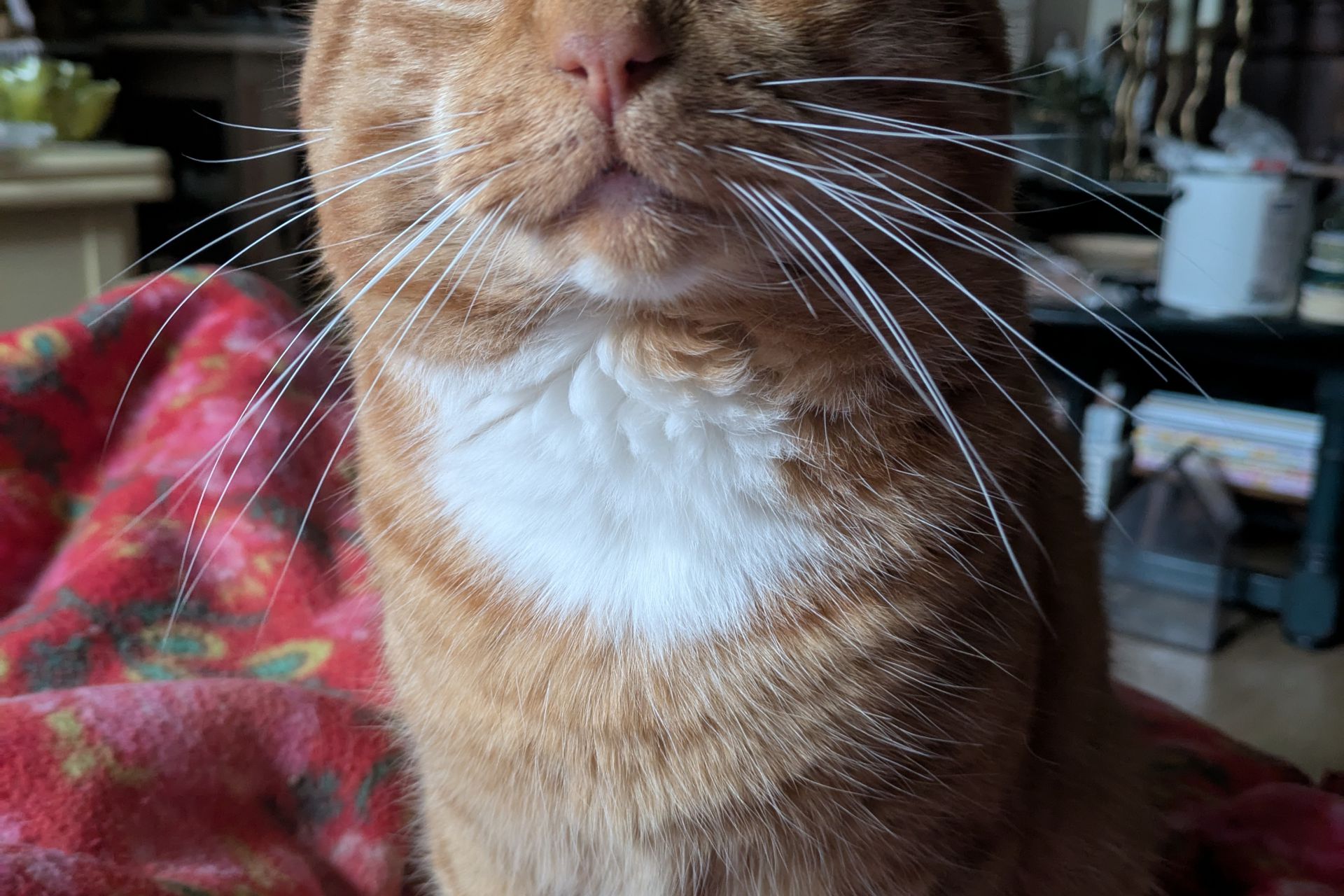 Sinds 28 februari vermist. Mijn lieve mooie jongen. 